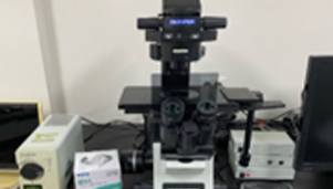 Fluorescence Microscope
