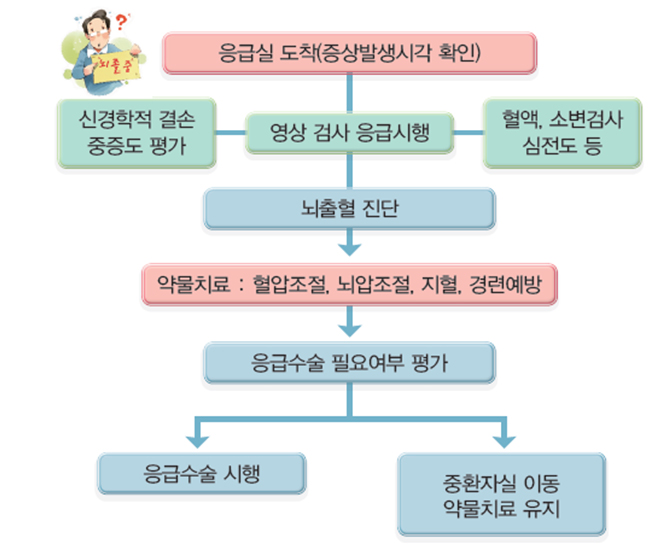 뇌출혈 진단 이미지